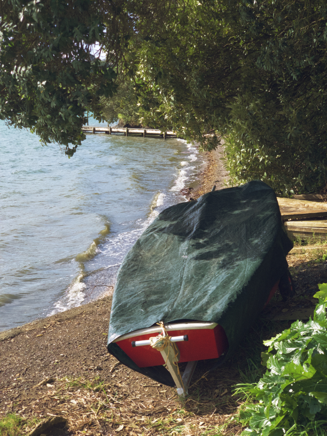 Boat Hidden on the Shore